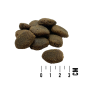 Preview: MACs Dog Mono Large Breed 12kg